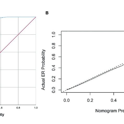 The Roc Curve And Calibration Curves For The Radiomics Nomogram A Download Scientific