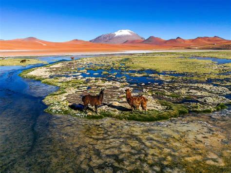 Rota Bioceânica liga maior planície alagada do mundo ao deserto mais