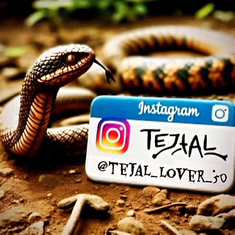 follow  attejallover tejaji