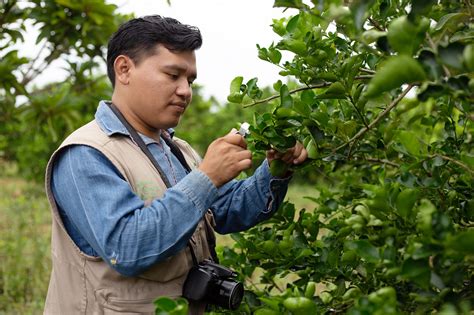 Resguardo fitosanitario Secretaría de Agricultura y Desarrollo Rural