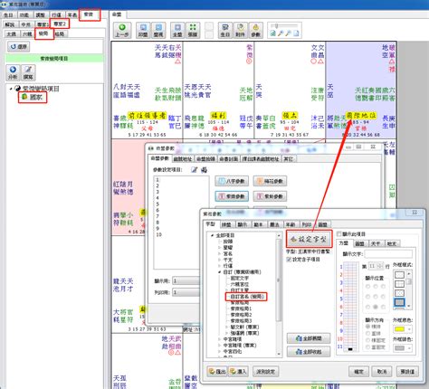 Ncc 907 紫微論命專業版 自訂宮名 變局 設定用途 星僑易學軟體星僑易學軟體
