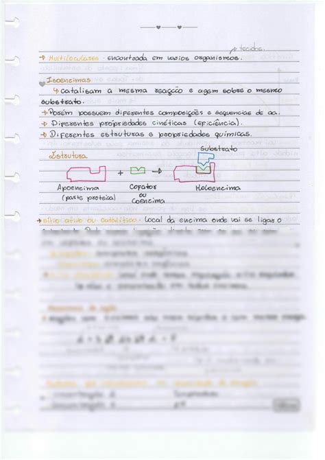 Solution Enzimas Studypool