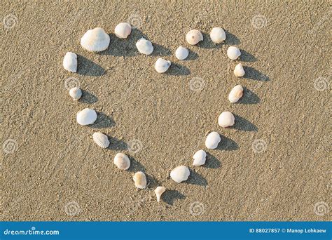 Heart Shaped Sea Shells On The Sand Beach Stock Image Image Of Summer