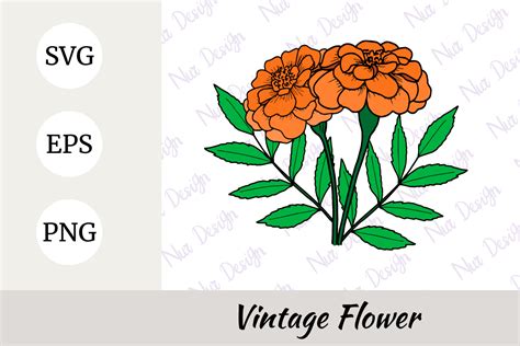 Marigold Flower Illustration Svg Graphic By Nurdesign99 · Creative Fabrica