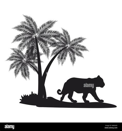 Tiger Witj Palm Tree Black Silhouette Vector Illustration Graphic