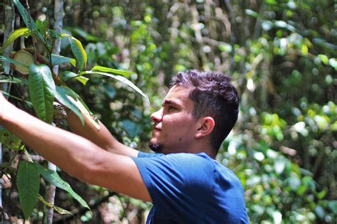 Biodiversidade Brasileira on Twitter Já segue o perfil também no