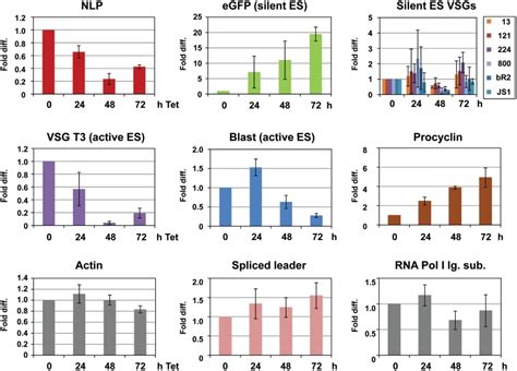 Quantitation Of Transcripts In The T Brucei T3 NLP1 Cell Line After