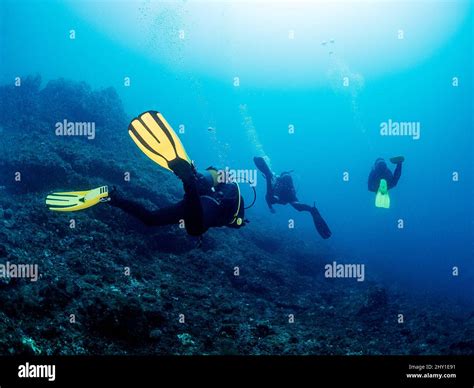 Swimming Wetsuit Flippers Mask Hi Res Stock Photography And Images Alamy