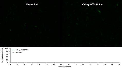 Calcium Indicators Aat Bioquest