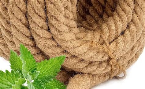 Amazon Riemex Jute Rope Garden Twine String Indoor And Outdoor Diy