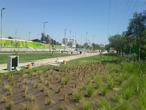 Ciudades esponja una solución basada en la naturaleza