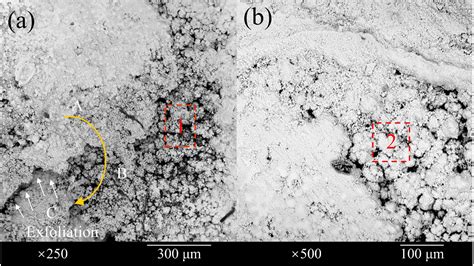 Corrosion Behaviour Characterisation Of 316l Stainless Steel And