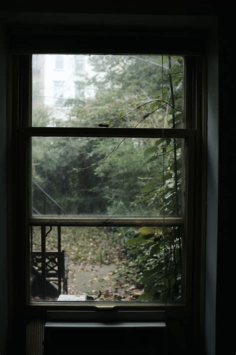 Closed Clear Glass Window In Front Of Plants Photo Free Window Image