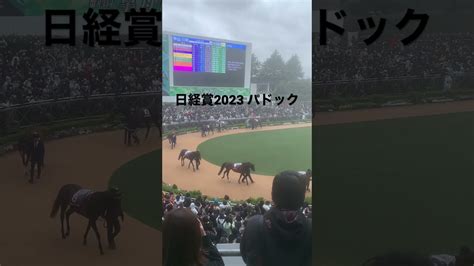 日経賞2023パドック 競馬 Jra ギャンブル 日経賞 パドック タイトルホルダー アスクビクターモア 競馬動画まとめ