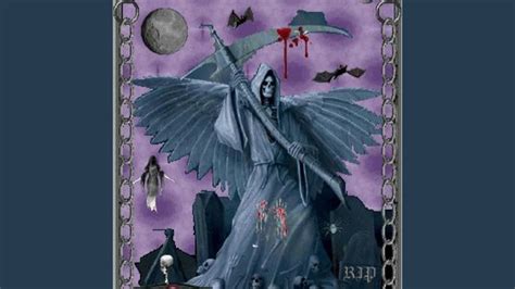 Dumb As Fuck YouTube