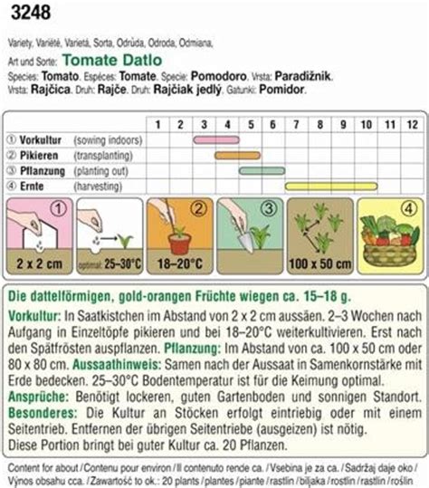 AUSTROSAAT Tomaten Datlo Bloomling Nederland