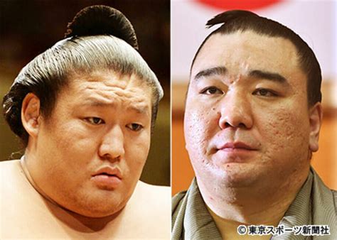 貴ノ岩が元横綱日馬富士を民事訴訟 請求総額は2413万5256円 東スポweb