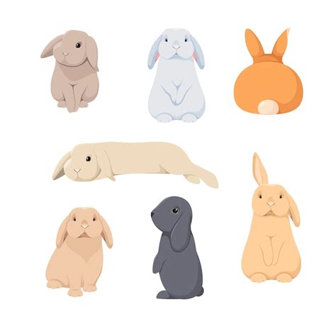 Um Conjunto De Coelhos Fofos Em Um Fundo Branco Desenho De Desenho