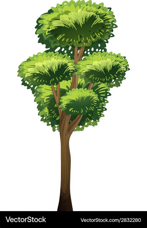 A tall tree Royalty Free Vector Image - VectorStock