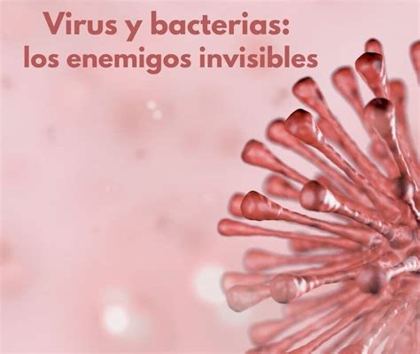 Virus Y Bacterias Los Enemigos Invisibles Triomed España