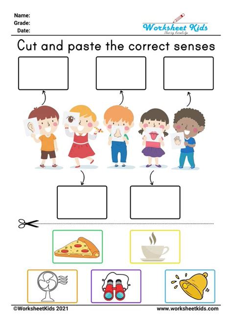 Five Senses Free Worksheet For Preschool Template Postermywall Worksheets Library