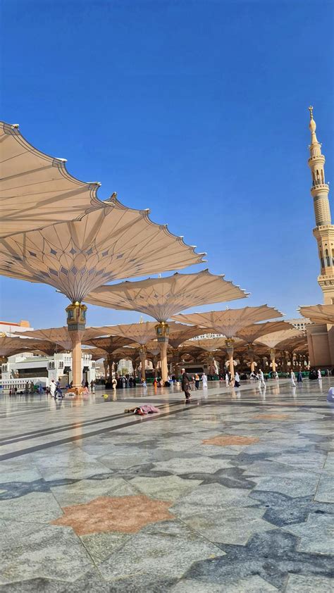 Medina Saudi Arabia On March 1 2024 Umbrellas Spread Across The