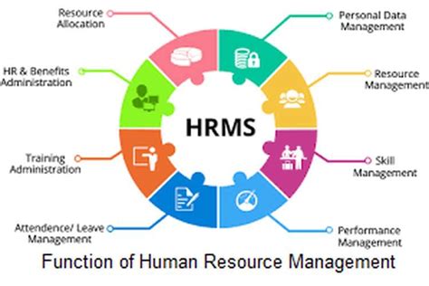 Diagram Of Hrm Process Human Resource Management Functions