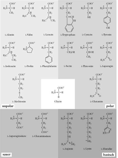 Aminos Uren Lexikon Der Ern Hrung