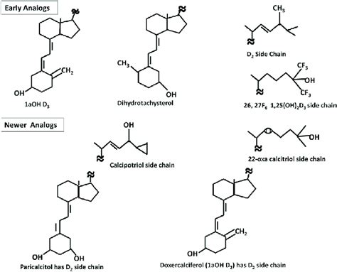 Clinically Used Analogs Of 1 25 Oh 2 The Structures Of Various Vitamin