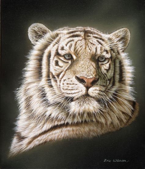 Eric Wilson Wildlife Artist Gallery Slideshow Wildlife