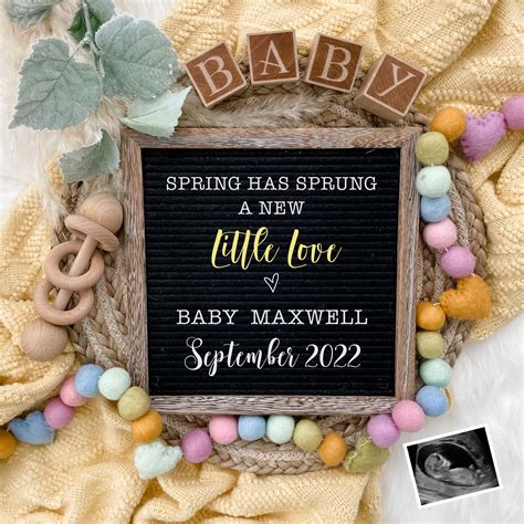 Spring Pregnancy Announcement Digital Baby Announcement Etsy