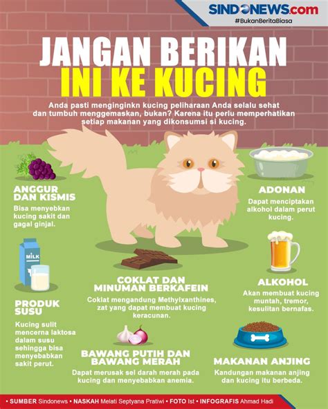 Sindografis Kenali 7 Makanan Yang Bisa Membuat Kucing Keracunan