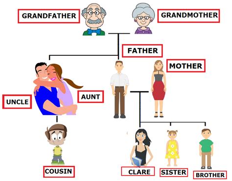 Membros da Família em Inglês e português