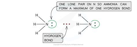 Hydrogen Bonding Cie A Level Chemistry Revision Notes 2025