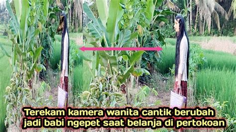 Detik Detik Wanita Cantik Berubah Jadi Babi Ngepet Asli Youtube