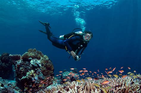 Pulau Sipadan Foto Foto Foto Stok Potret And Gambar Bebas Royalti Istock