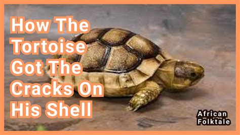 How The Tortoise Got The Cracks On His Shell Folktales Youtube