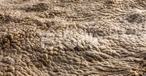 Sea Foam Background Stock Photo | Royalty-Free | FreeImages