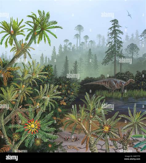 Cretaceous Plants Illustration Stock Photo Alamy