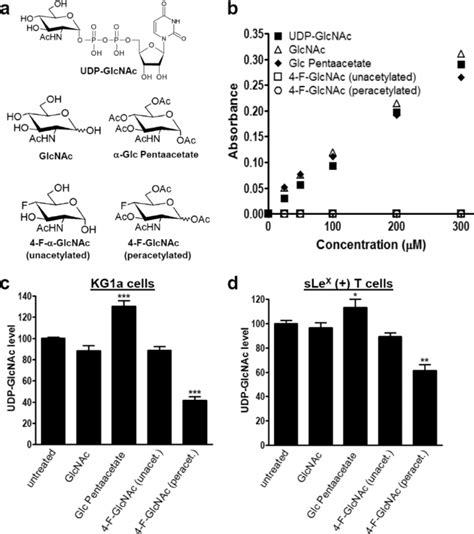 Measurement Of Udp Glcnac Level In Extracts Of 4 F Glcnac Treated Sle X Download Scientific