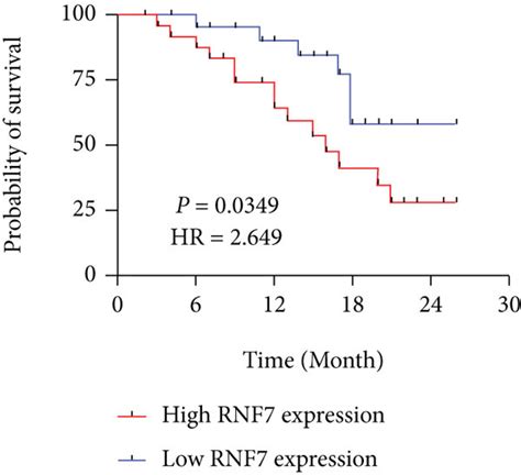 Rnf Is Upregulated In Pc Tissues And Demonstrated Poor Prognosis A