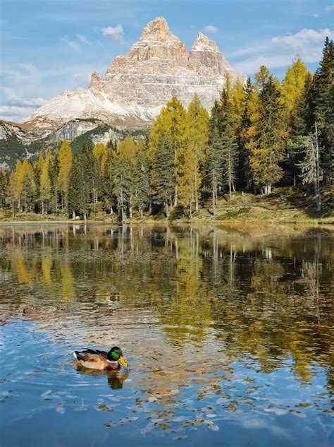 Discover Lago Antorno: A Glacial Gem Beneath Tre Cime