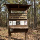 Driskill Mountain Trail, Louisiana - 517 Reviews, Map | AllTrails