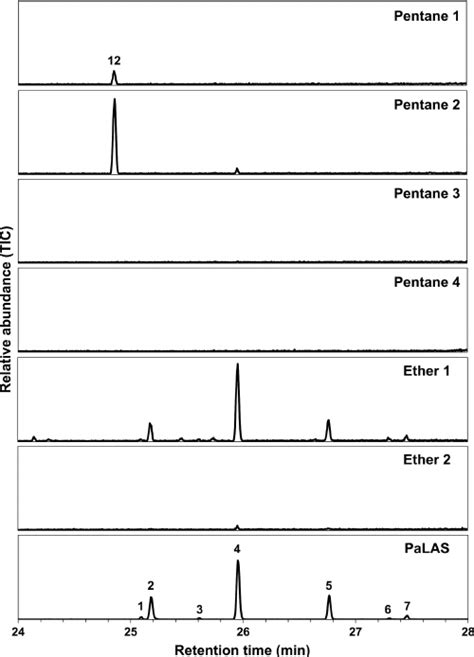 Gc Ms Chromatograms On An Hp 5ms Column Of Fractions Of The Combined Download Scientific