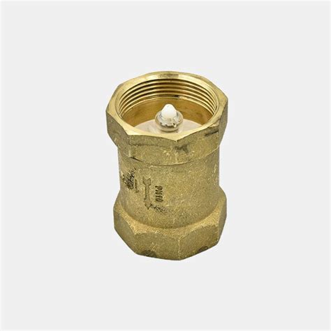 DLM Brass Check Valve Wujin Online Plumbing E Commerce Store