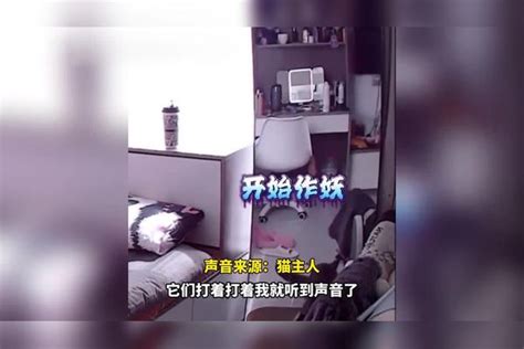 俩猫咪“打架”弄到镜子，主人瞬间抬脚稳稳接住