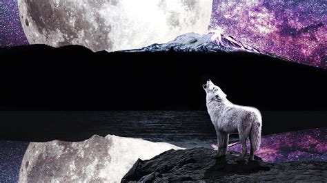 3840x2160 Wolf Moon River 4K ,HD 4k Wallpapers,Images,Backgrounds,Photos and Pictures