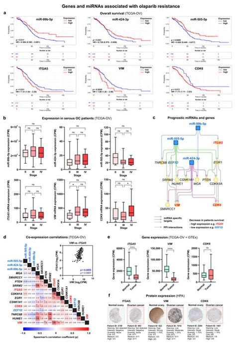 Cells Free Full Text Uncovering MiRNAmRNA Regulatory Networks