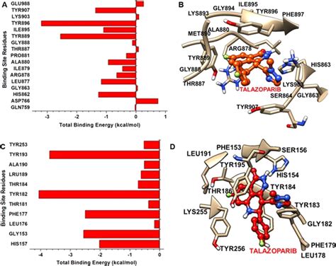 A Total Binding Energy Of Binding Site Residues Of PARP 1 B Binding