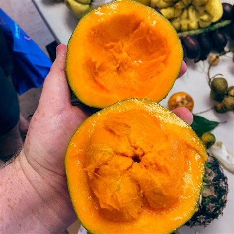 El Zapote Un Viaje Por El Sabor Colombiano